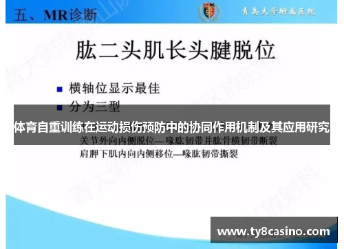 体育自重训练在运动损伤预防中的协同作用机制及其应用研究