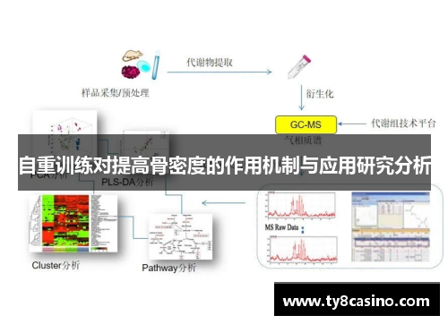 自重训练对提高骨密度的作用机制与应用研究分析