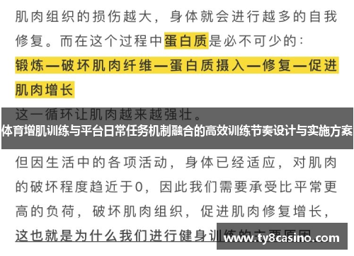 体育增肌训练与平台日常任务机制融合的高效训练节奏设计与实施方案